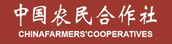 �й�ũ��������